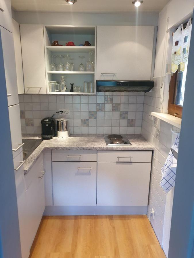 Haus Adler - Komplettes Ferienhaus Am Badesee Erzgrube المظهر الخارجي الصورة