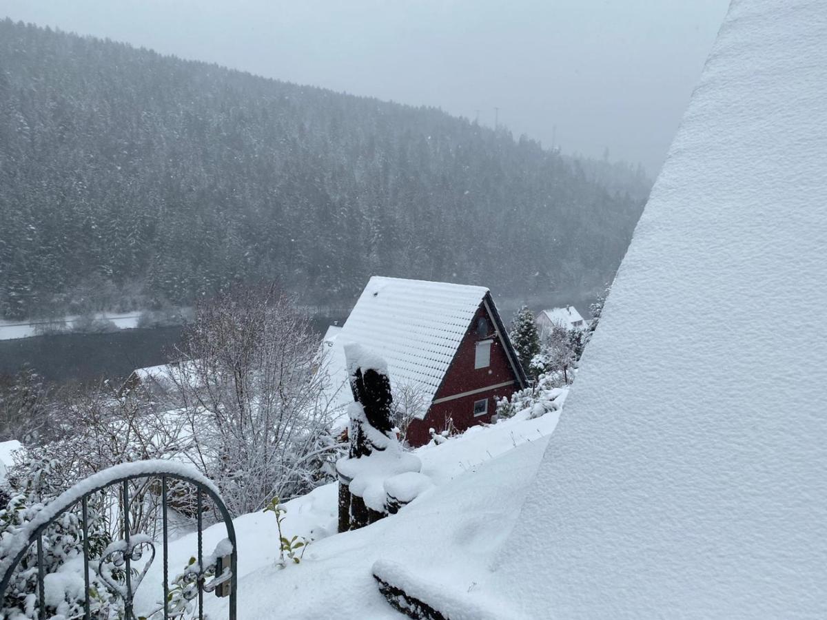 Haus Adler - Komplettes Ferienhaus Am Badesee Erzgrube المظهر الخارجي الصورة