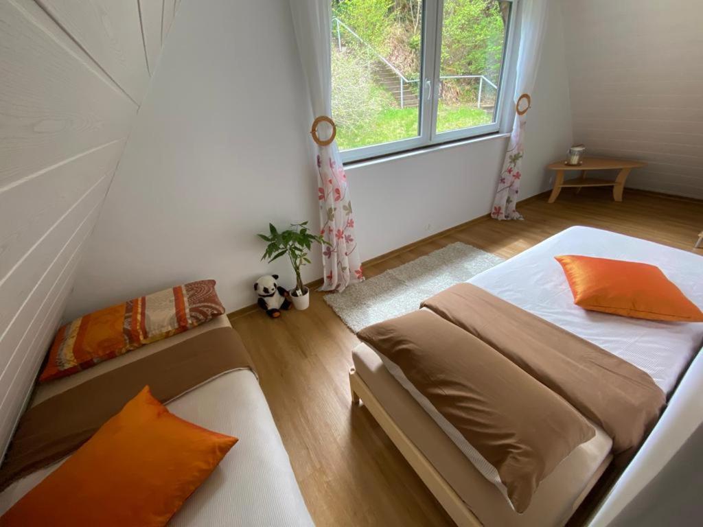 Haus Adler - Komplettes Ferienhaus Am Badesee Erzgrube المظهر الخارجي الصورة